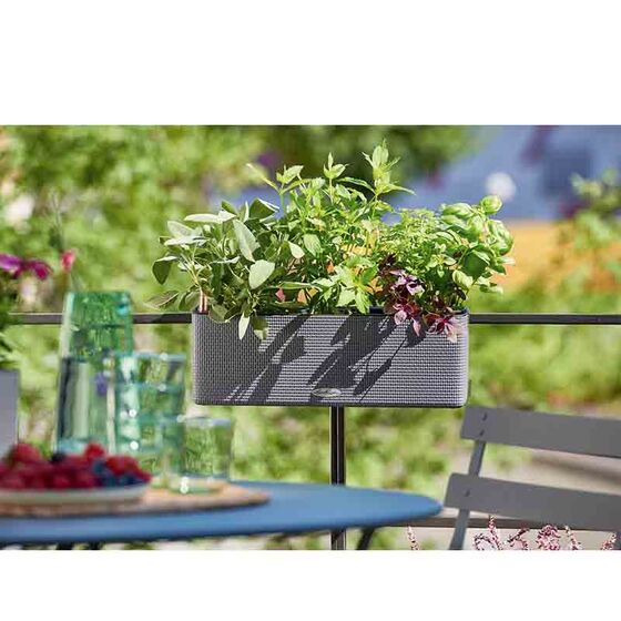 LECHUZA CUBE Color Triple Ζαρντινιέρα-Κασπώ 40x14x13.5cm Αυτοποτιζόμενη με Εσωτερικό Δοχείο Ανθρακί Γερμανίας
