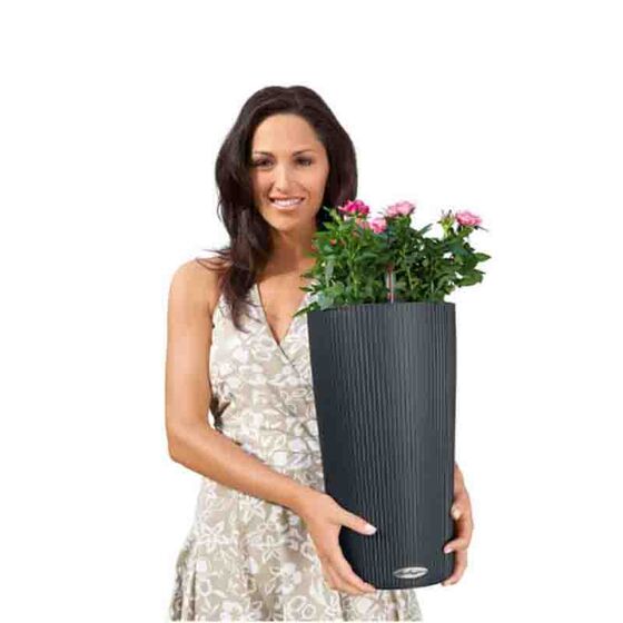 LECHUZA CILINDRO 23 Επιδαπέδια Γλάστρα Ø23x41cm Αυτοποτιζόμενη με Δοχείο Φύτευσης Ανθρακί Γερμανίας