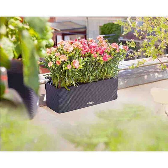 LECHUZA CUBE Color Triple Ζαρντινιέρα-Κασπώ 40x14x13.5cm Αυτοποτιζόμενη με Εσωτερικό Δοχείο Ανθρακί Γερμανίας