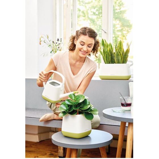 LECHUZA YULA Γλάστρα-Κασπώ 16.5x16.5x15cm Αυτοποτιζόμενη Λευκό-Πράσινο Γερμανίας