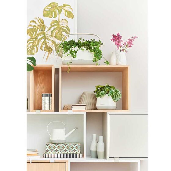 LECHUZA YULA Ζαρντινιέρα-Κασπώ 38x17x18cm Αυτοποτιζόμενη Λευκό-Γκρι Γερμανίας