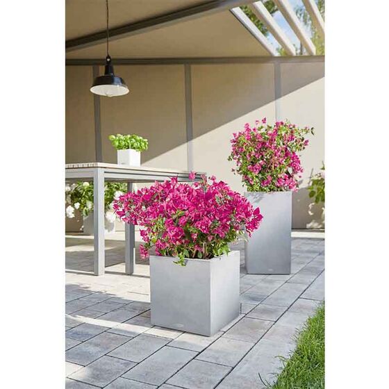 LECHUZA Canto Color Στήλη 40 Επιδαπέδια Γλάστρα 40x40x76cm Αυτοποτιζόμενη με Δοχείο ΓΚΡΙ Όψη Φυσική Πέτρα Γερμανίας