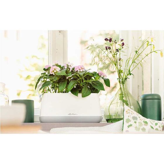 LECHUZA YULA Ζαρντινιέρα-Κασπώ 38x17x18cm Αυτοποτιζόμενη Λευκό-Γκρι Γερμανίας