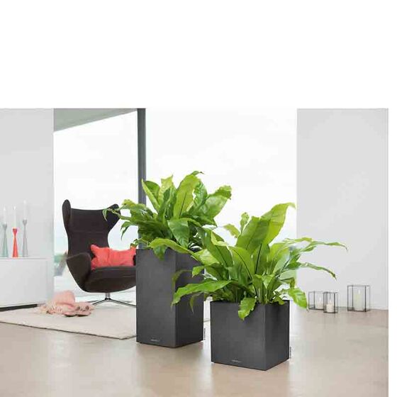 LECHUZA Canto Color Στήλη 40 Επιδαπέδια Γλάστρα 40x40x76cm Αυτοποτιζόμενη με Δοχείο Μαύρο του Γραφίτη Όψη Φυσική Πέτρα Γερμανίας