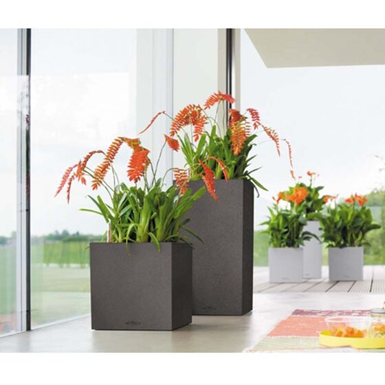 LECHUZA Canto Color 40 Επιδαπέδια Γλάστρα 40x40x40cm Αυτοποτιζόμενη Μαύρο του Γραφίτη Όψη Φυσική Πέτρα Γερμανίας