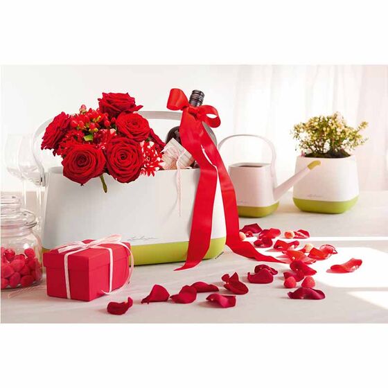 LECHUZA YULA Ζαρντινιέρα-Κασπώ 38x17x18cm Αυτοποτιζόμενη Λευκό-Λαχανί Γερμανίας