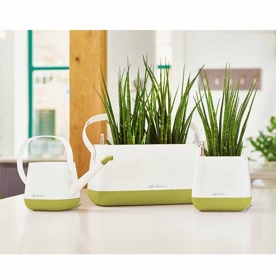 LECHUZA YULA Ζαρντινιέρα-Κασπώ 38x17x18cm Αυτοποτιζόμενη Λευκό-Λαχανί Γερμανίας