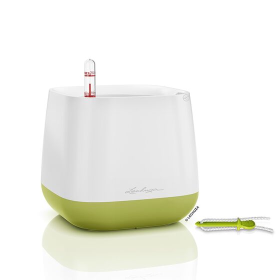 LECHUZA YULA Γλάστρα-Κασπώ 16.5x16.5x15cm Αυτοποτιζόμενη Λευκό-Πράσινο Γερμανίας