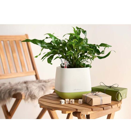 LECHUZA YULA Γλάστρα-Κασπώ 16.5x16.5x15cm Αυτοποτιζόμενη Λευκό-Πράσινο Γερμανίας