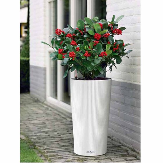 LECHUZA CILINDRO 32 Επιδαπέδια Γλάστρα Ø32x56cm Αυτοποτιζόμενη με Δοχείο Φύτευσης Λευκή Γερμανίας