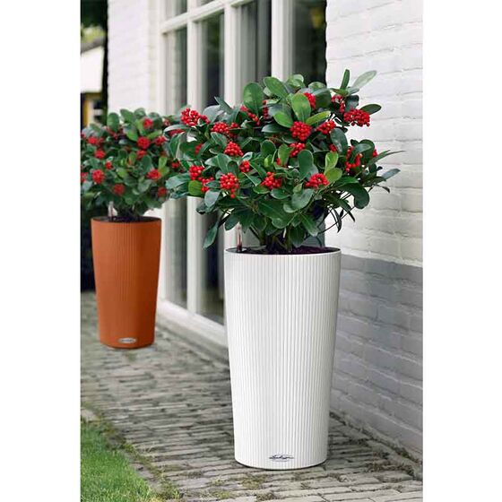 LECHUZA CILINDRO 32 Επιδαπέδια Γλάστρα Ø32x56cm Αυτοποτιζόμενη με Δοχείο Φύτευσης Λευκή Γερμανίας