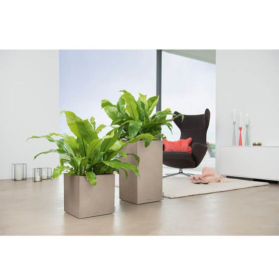 LECHUZA Canto Color 40 Επιδαπέδια Γλάστρα 40x40x40cm Αυτοποτιζόμενη Μπεζ της Άμμου με Όψη ΦΥΣΙΚΗ ΠΕΤΡΑ Γερμανίας