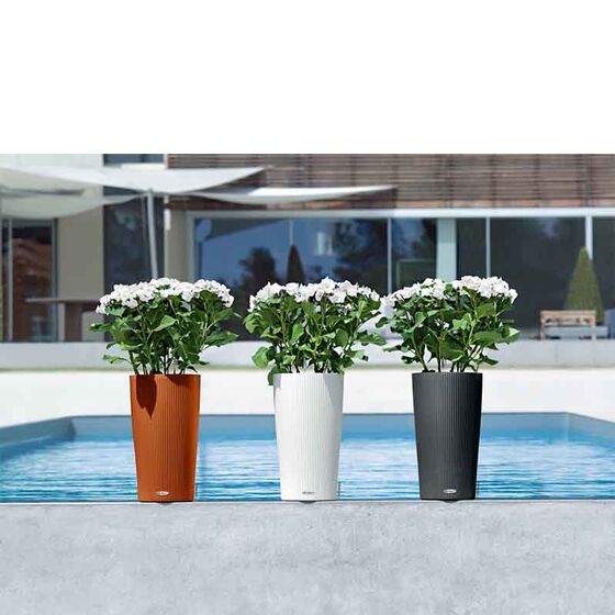 LECHUZA CILINDRO 23 Επιδαπέδια Γλάστρα Ø23x41cm Αυτοποτιζόμενη με Δοχείο Φύτευσης Ανθρακί Γερμανίας