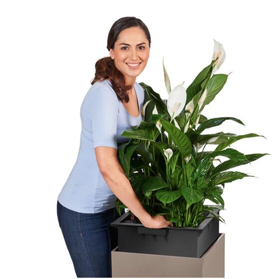 LECHUZA Canto 40 Premium Tower Επιδαπέδια Γλάστρα 40x40x76cm Αυτοποτιζόμενη με Δοχείο Φύτευσης Ανθρακί Γυαλιστερή Γερμανίας Reddot Award Winner 2017