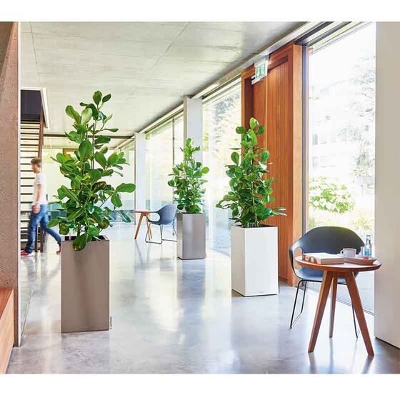 LECHUZA Canto 40 Tower Επιδαπέδια Γλάστρα 40x40x76cm Αυτοποτιζόμενη με Δοχείο Φύτευσης Λευκή Γυαλιστερή Γερμανίας Reddot Award Winner 2017