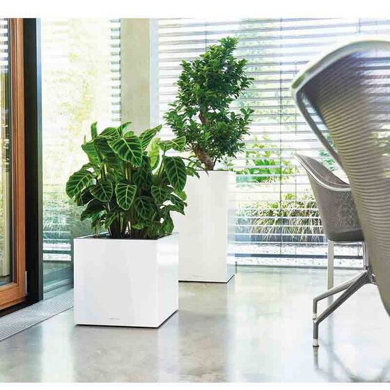 LECHUZA Canto 40 Tower Επιδαπέδια Γλάστρα 40x40x76cm Αυτοποτιζόμενη με Δοχείο Φύτευσης Λευκή Γυαλιστερή Γερμανίας Reddot Award Winner 2017