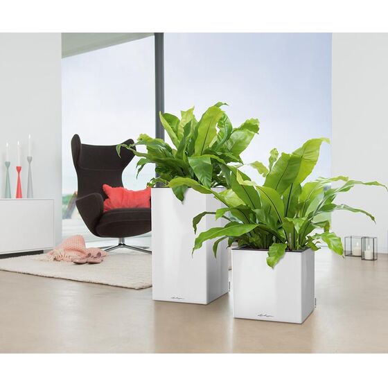 LECHUZA Canto 40 Tower Επιδαπέδια Γλάστρα 40x40x76cm Αυτοποτιζόμενη με Δοχείο Φύτευσης Λευκή Γυαλιστερή Γερμανίας Reddot Award Winner 2017