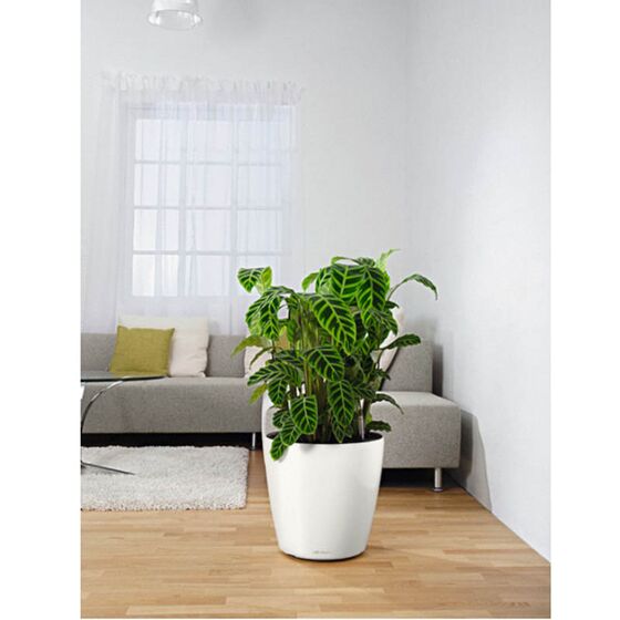 LECHUZA Classico 43 Επιδαπέδια Γλάστρα Ø42x39.5cm Αυτοποτιζόμενη Λευκή Γερμανίας