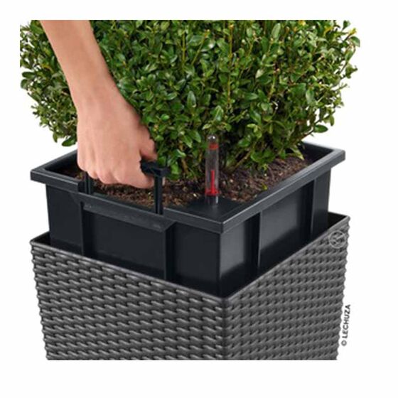 LECHUZA Cube Cottage 50 Επιδαπέδια Γλάστρα 49x49x49.5cm Αυτοποτιζόμενη με Δοχείο Φύτευσης Μόκα Γερμανίας