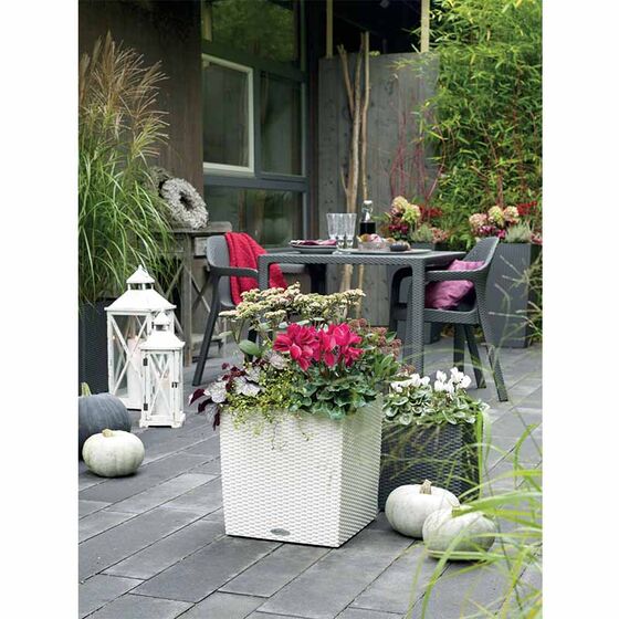 LECHUZA Cube Cottage 30 Επιδαπέδια Γλάστρα 29.5x29.5x30cm Αυτοποτιζόμενη με Δοχείο Φύτευσης Λευκή Γερμανίας