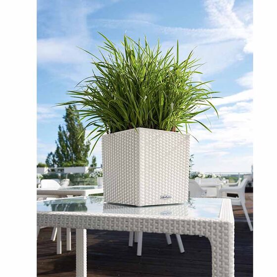 LECHUZA Cube Cottage 30 Επιδαπέδια Γλάστρα 29.5x29.5x30cm Αυτοποτιζόμενη με Δοχείο Φύτευσης Λευκή Γερμανίας