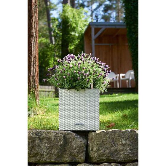 LECHUZA Cube Cottage 30 Επιδαπέδια Γλάστρα 29.5x29.5x30cm Αυτοποτιζόμενη με Δοχείο Φύτευσης Λευκή Γερμανίας