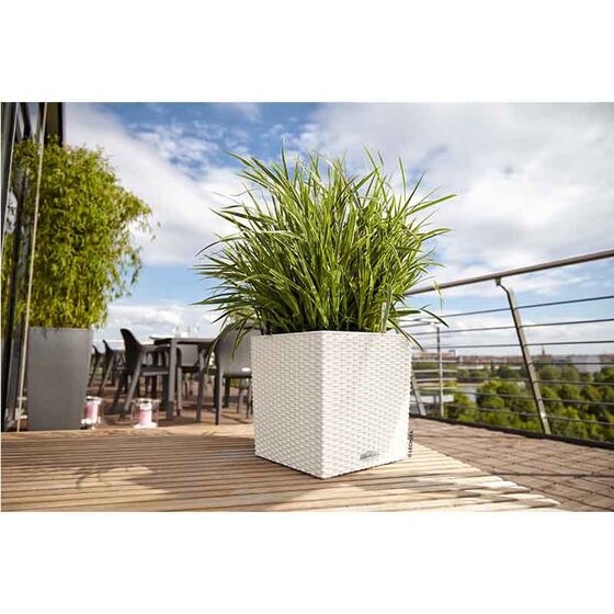 LECHUZA Cube Cottage 50 Επιδαπέδια Γλάστρα 49x49x49.5cm Αυτοποτιζόμενη με Δοχείο Φύτευσης Λευκή Γερμανίας