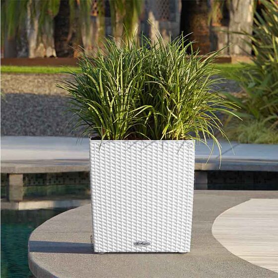 LECHUZA Cube Cottage 30 Επιδαπέδια Γλάστρα 29.5x29.5x30cm Αυτοποτιζόμενη με Δοχείο Φύτευσης Λευκή Γερμανίας