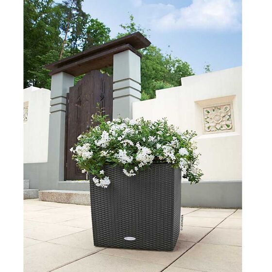 LECHUZA Cube Cottage 30 Επιδαπέδια Γλάστρα 29.5x29.5x30cm Αυτοποτιζόμενη με Δοχείο Φύτευσης Ανθρακί Γερμανίας