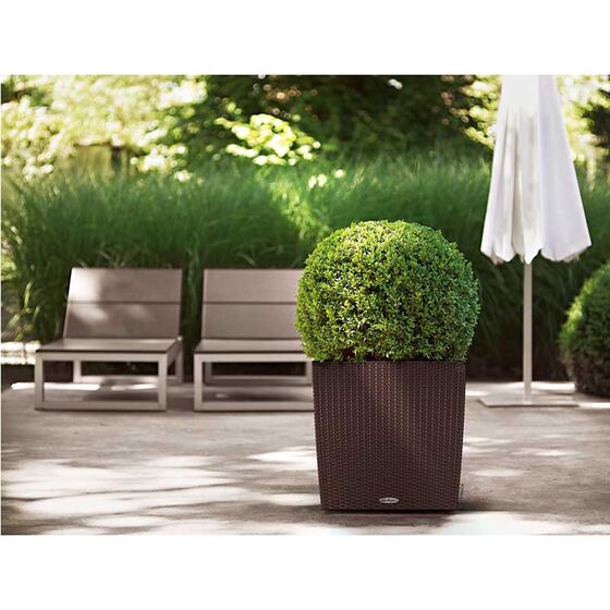 LECHUZA Cube Cottage 30 Επιδαπέδια Γλάστρα 29.5x29.5x30cm Αυτοποτιζόμενη με Δοχείο Φύτευσης Μοκα Γερμανίας