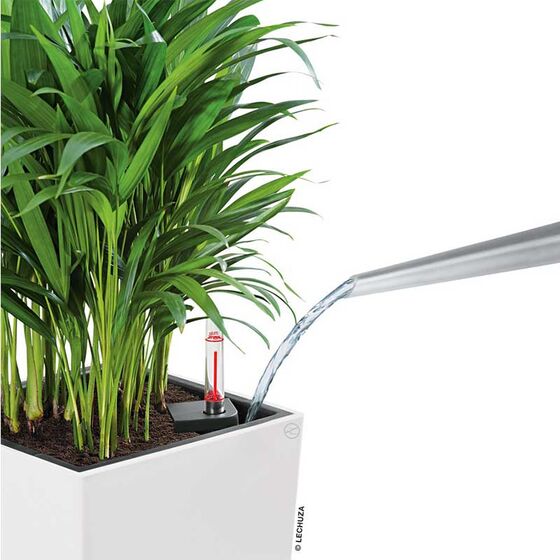 LECHUZA Cubico Color 30 Επιδαπέδια Γλάστρα 29.5x29.5x56.5cm Αυτοποτιζόμενη με Δοχείο Φύτευσης Ανθρακί Ματ Γερμανίας