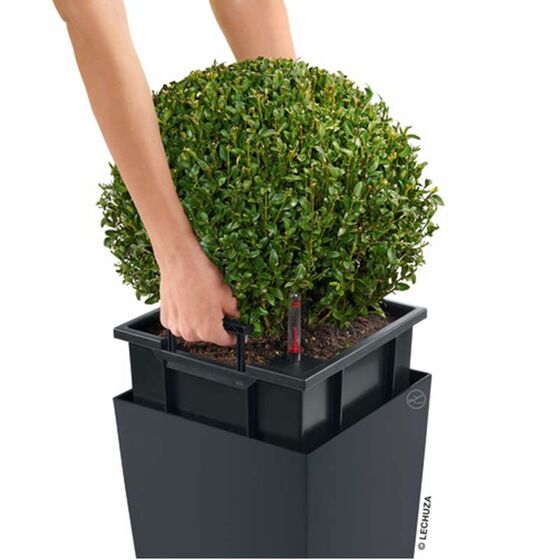 LECHUZA Cubico Color 30 Επιδαπέδια Γλάστρα 29.5x29.5x56.5cm Αυτοποτιζόμενη με Δοχείο Φύτευσης Ανθρακί Ματ Γερμανίας