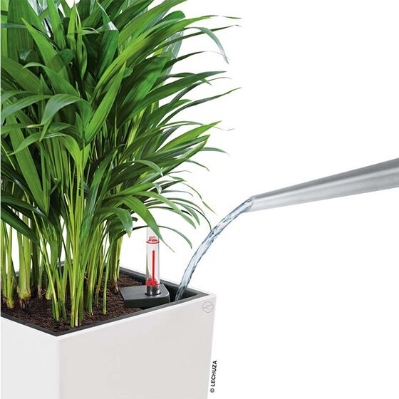 LECHUZA Cubico Color 40 Επιδαπέδια Γλάστρα 39.5x39.5x75.5cm Αυτοποτιζόμενη με Δοχείο Φύτευσης Λευκή Ματ Γερμανίας
