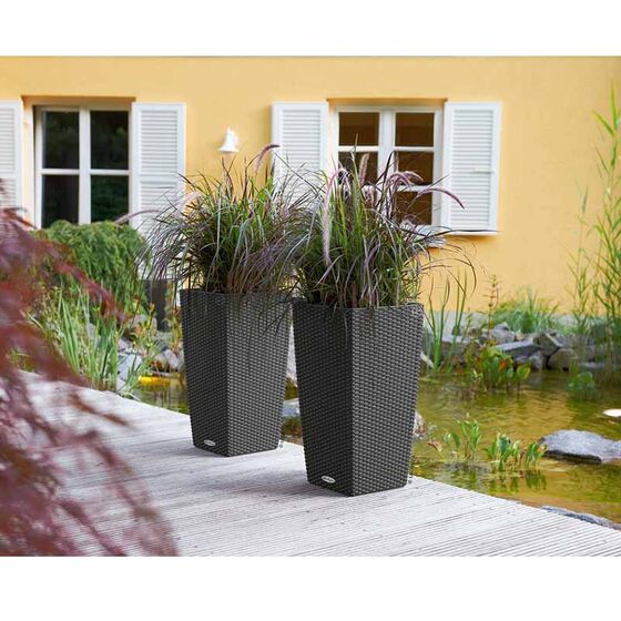 LECHUZA Cubico Cottage 30 Επιδαπέδια Γλάστρα 29.5x29.5x56.5cm Αυτοποτιζόμενη με Δοχείο Φύτευσης Ανθρακί Γερμανίας