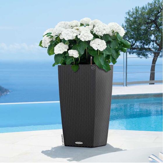 LECHUZA Cubico Cottage 30 Επιδαπέδια Γλάστρα 29.5x29.5x56.5cm Αυτοποτιζόμενη με Δοχείο Φύτευσης Ανθρακί Γερμανίας