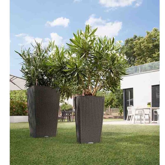 LECHUZA Cubico Cottage 40 Επιδαπέδια Γλάστρα 39.5x39.5x75.5cm Αυτοποτιζόμενη με Δοχείο Φύτευσης Μόκα Γερμανίας