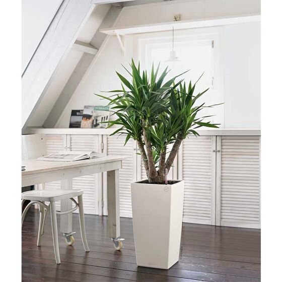 LECHUZA Cubico Color 30 Επιδαπέδια Γλάστρα 29.5x29.5x56.5cm Αυτοποτιζόμενη με Δοχείο Φύτευσης Λευκή Ματ Γερμανίας