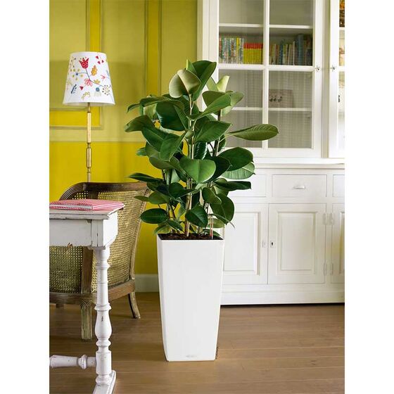 LECHUZA Cubico Color 30 Επιδαπέδια Γλάστρα 29.5x29.5x56.5cm Αυτοποτιζόμενη με Δοχείο Φύτευσης Λευκή Ματ Γερμανίας