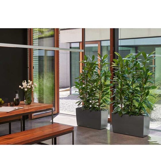 LECHUZA CARARO 75 Premium Ζαρντινιέρα Επιδαπέδια 75x30x42.5cm ΑΥΤΟΠΟΤΙΖΟΜΕΝΗ με 2 Ρόδες Ανθρακί Γυαλιστερή Γερμανίας