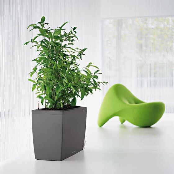 LECHUZA CARARO 75 Premium Ζαρντινιέρα Επιδαπέδια 75x30x42.5cm ΑΥΤΟΠΟΤΙΖΟΜΕΝΗ με 2 Ρόδες Ανθρακί Γυαλιστερή Γερμανίας