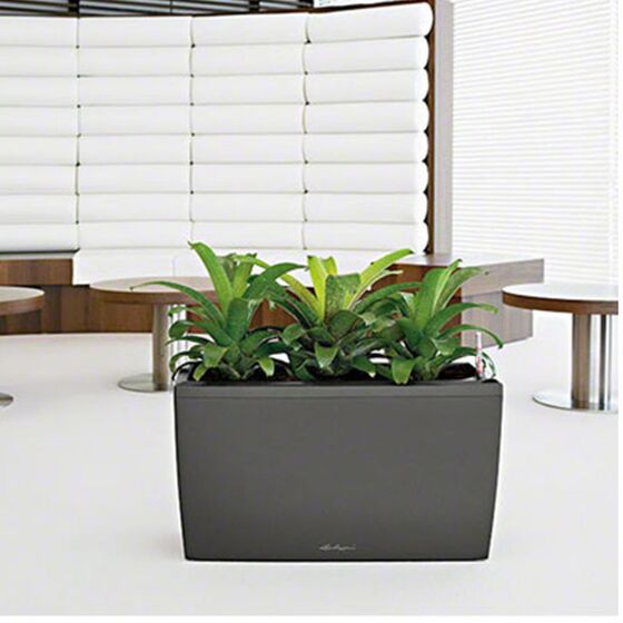 LECHUZA CARARO 75 Premium Ζαρντινιέρα Επιδαπέδια 75x30x42.5cm ΑΥΤΟΠΟΤΙΖΟΜΕΝΗ με 2 Ρόδες Ανθρακί Γυαλιστερή Γερμανίας