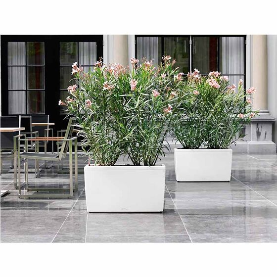 LECHUZA CARARO 75 Premium Ζαρντινιέρα Επιδαπέδια 75x30x42.5cm ΑΥΤΟΠΟΤΙΖΟΜΕΝΗ με 2 Ρόδες Λευκή Γυαλιστερή Γερμανίας