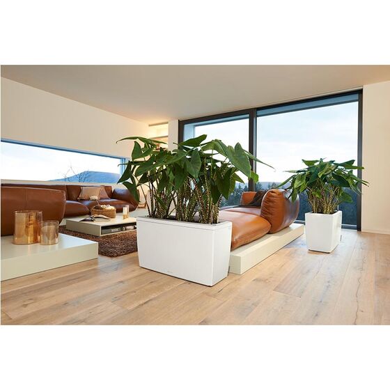 LECHUZA CARARO 75 Premium Ζαρντινιέρα Επιδαπέδια 75x30x42.5cm ΑΥΤΟΠΟΤΙΖΟΜΕΝΗ με 2 Ρόδες Λευκή Γυαλιστερή Γερμανίας