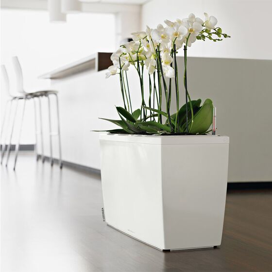 LECHUZA CARARO 75 Premium Ζαρντινιέρα Επιδαπέδια 75x30x42.5cm ΑΥΤΟΠΟΤΙΖΟΜΕΝΗ με 2 Ρόδες Λευκή Γυαλιστερή Γερμανίας