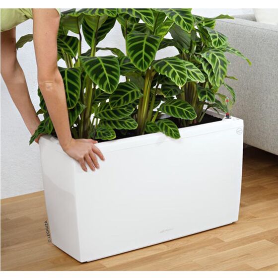 LECHUZA CARARO 75 Premium Ζαρντινιέρα Επιδαπέδια 75x30x42.5cm ΑΥΤΟΠΟΤΙΖΟΜΕΝΗ με 2 Ρόδες Λευκή Γυαλιστερή Γερμανίας