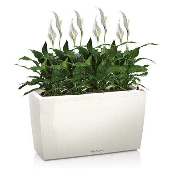LECHUZA CARARO 75 Premium Ζαρντινιέρα Επιδαπέδια 75x30x42.5cm ΑΥΤΟΠΟΤΙΖΟΜΕΝΗ με 2 Ρόδες Λευκή Γυαλιστερή Γερμανίας