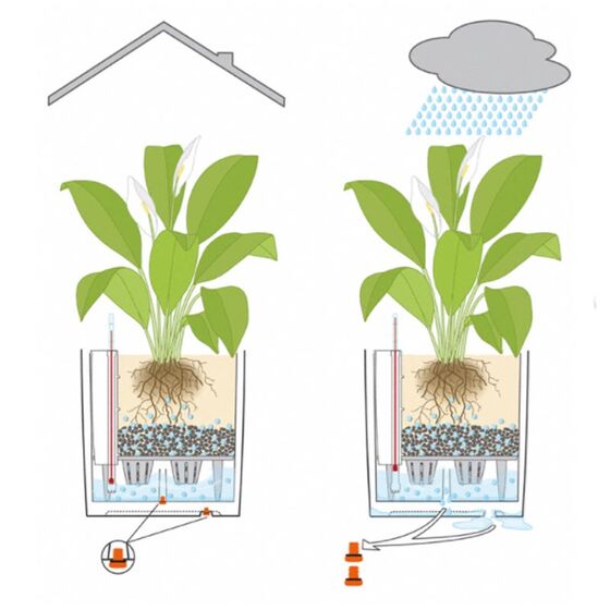 LECHUZA Cube Premium 30 Επιδαπέδια Γλάστρα 29.5x29.5x30cm Αυτοποτιζόμενη με Δοχείο Φύτευσης Λευκή Γυαλιστερή Γερμάνιας