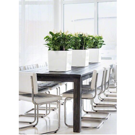 LECHUZA Cube Premium 30 Επιδαπέδια Γλάστρα 29.5x29.5x30cm Αυτοποτιζόμενη με Δοχείο Φύτευσης Λευκή Γυαλιστερή Γερμάνιας