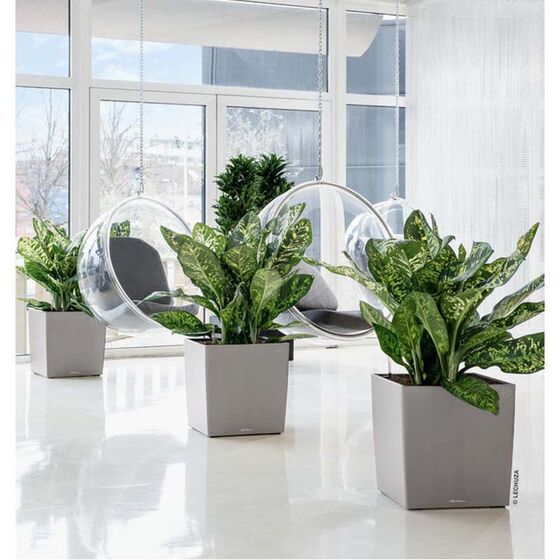 LECHUZA Cube Premium 30 Επιδαπέδια Γλάστρα 29.5x29.5x30cm Αυτοποτιζόμενη με Δοχείο Φύτευσης Ασημί Γυαλιστερή Γερμάνιας