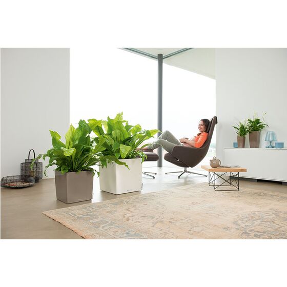 LECHUZA Cube Premium 30 Επιδαπέδια Γλάστρα 29.5x29.5x30cm Αυτοποτιζόμενη με Δοχείο Φύτευσης Γκρι-Καφέ Γυαλιστερή Γερμάνιας